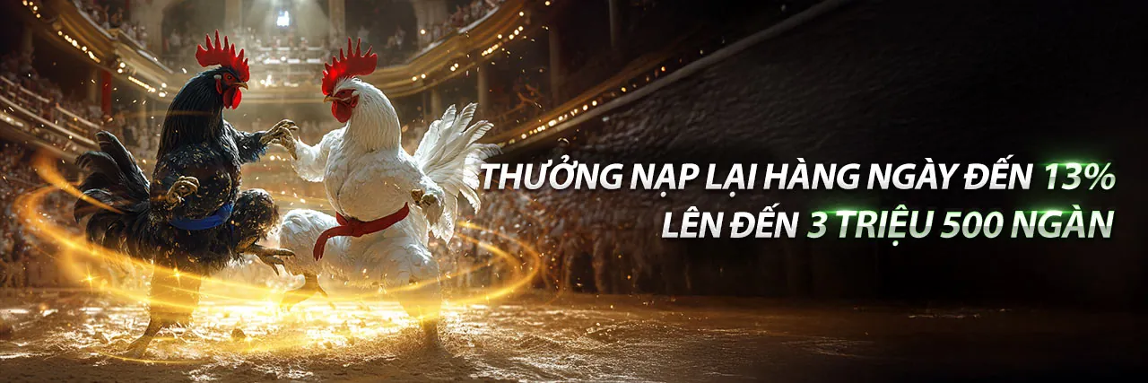 Hình ảnh đá gà trực tuyến tại 1win link vào